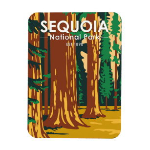 Sequoia Nationaal Park Giant Sequoia Trees  Magneet