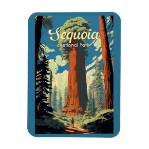 Sequoia Nationaal Park Illustratie Retro Magneet