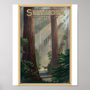 Sequoia Nationaal Park Litho Kunstwerk Poster