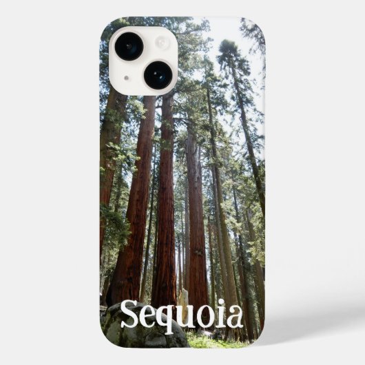 Sequoia National Forest iPhone 14 Hoesje (Achterkant)