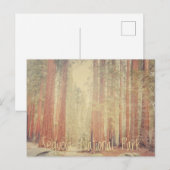 Sequoia National Park Briefkaart (Voorkant / Achterkant)
