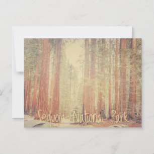 Sequoia National Park Briefkaart
