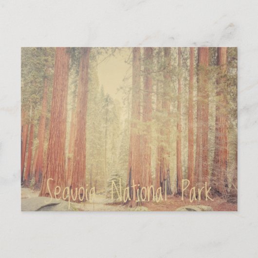 Sequoia National Park Briefkaart (Voorkant)