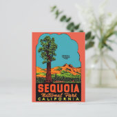 Sequoia National Park California Briefkaart (Staand voorkant)