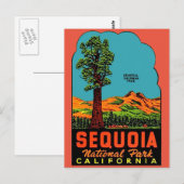 Sequoia National Park California Briefkaart (Voorkant / Achterkant)