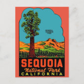 Sequoia National Park California Briefkaart (Voorkant)