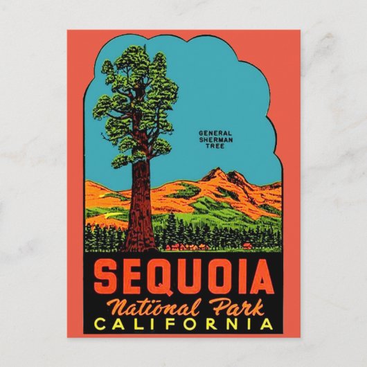 Sequoia National Park California Briefkaart (Voorkant)