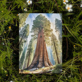 Sequoia National Park California Briefkaart