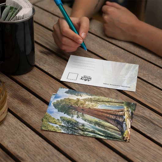 Sequoia National Park California Briefkaart