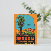 Sequoia National Park California Postcard Briefkaart (Staand voorkant)