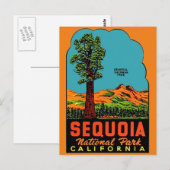 Sequoia National Park California Postcard Briefkaart (Voorkant / Achterkant)