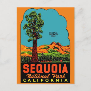 Sequoia National Park California Postcard Briefkaart