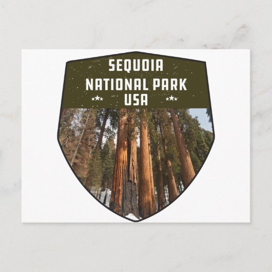 Sequoia National Park California sequoia-bomen Briefkaart (Voorkant)