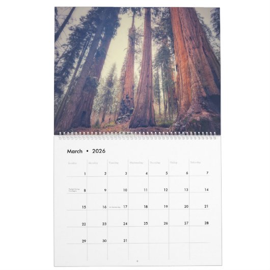 Sequoia National Park Forest Landschappen Kalender (Mar 2026)