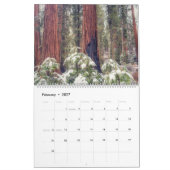 Sequoia National Park Forest Landschappen Kalender (Feb 2027)
