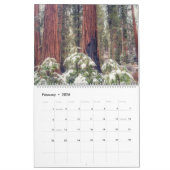 Sequoia National Park Forest Landschappen Kalender (Feb 2026)