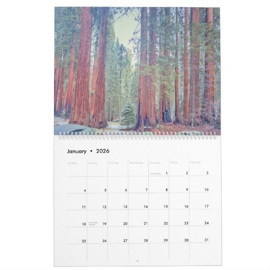 Sequoia National Park Forest Landschappen Kalender (Jan 2026)