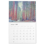 Sequoia National Park Forest Landschappen Kalender (Jan 2027)