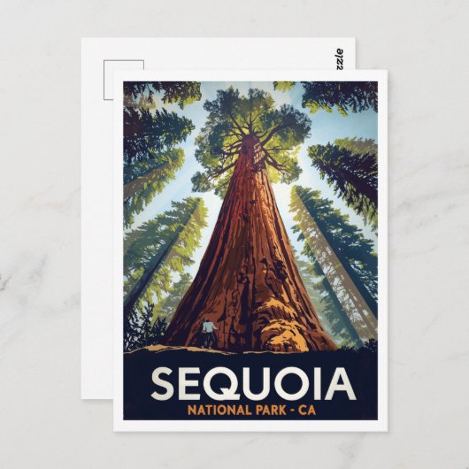 Sequoia National Park Giant Trees Briefkaart (Voorkant / Achterkant)