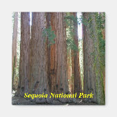 Sequoia National Park magneet (Voorkant)