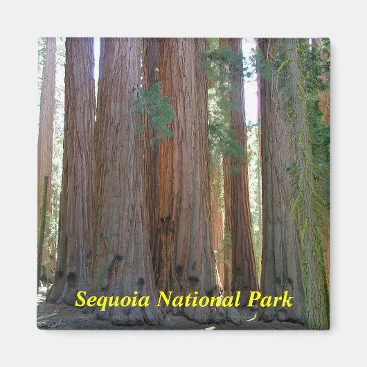 Sequoia National Park magneet (Voorkant)