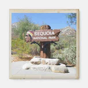 Sequoia National Park Magnet! Magneet