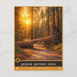 Sequoia National Park | Oude ansichtkaart Briefkaart