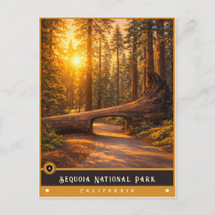 Sequoia National Park Oude ansichtkaart Briefkaart