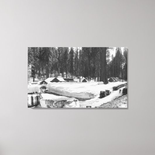 Sequoia National Park Snow Scene in het dorp Canvas Afdruk (Voorkant)