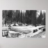 Sequoia National Park Snow Scene in het dorp Poster (Voorkant)