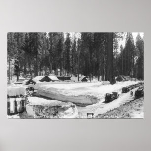 Sequoia National Park Snow Scene in het dorp Poster