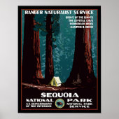 Sequoia National Park Travel Poster (Voorkant)