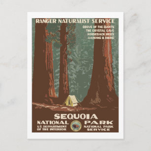 Sequoia National Park USA Vintage Travel Poster Briefkaart