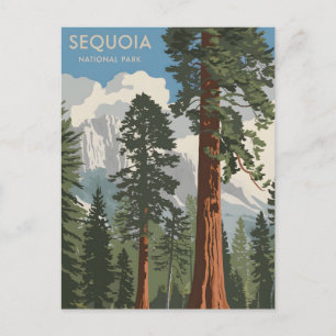 Sequoia National Park vintage Briefkaart