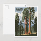 Sequoia National Park vintage Briefkaart (Voorkant / Achterkant)