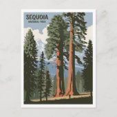 Sequoia National Park vintage Briefkaart (Voorkant)