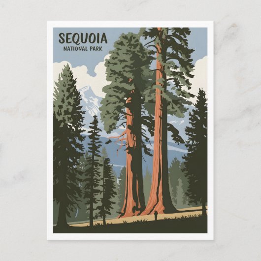 Sequoia National Park vintage Briefkaart (Voorkant)