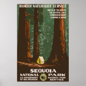 Sequoia National Park Vintage Travel Poster (Voorkant)