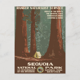 Sequoia National Park Vintage Travel Poster Briefkaart
