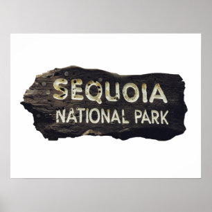 Sequoia National Park Wooden-teken Poster