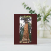 SEQUOIA NAT'L PARK-California-General Sherman Briefkaart (Staand voorkant)