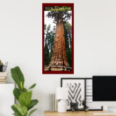 SEQUOIA NAT'L PARK-California-General Sherman- Poster (Thuiskantoor)