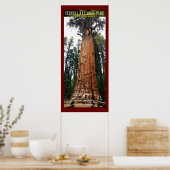 SEQUOIA NAT'L PARK-California-General Sherman- Poster (Keuken)