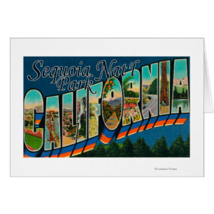 Sequoia Nat'l Park, Californië