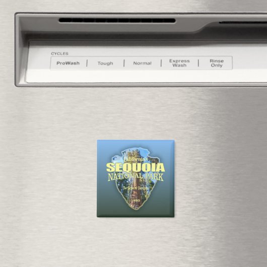 Sequoia NP (pijlpunt) Magneet (Insitu (Vaatwasser))