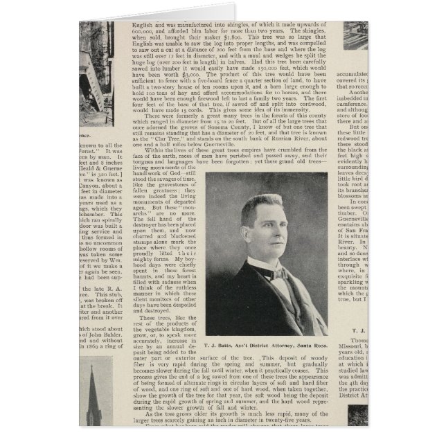 Sequoia of Sonoma, Californië (Voorkant)