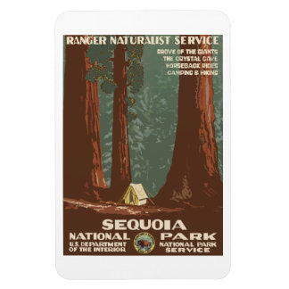  Sequoia Park CA, toeristische reisposter; Magneet