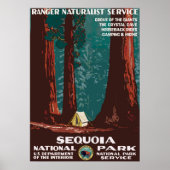 Sequoia Poster (Voorkant)