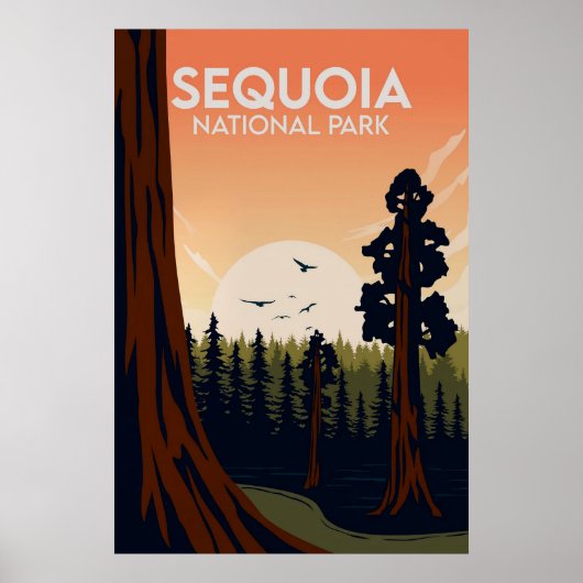 Sequoia Poster (Voorkant)