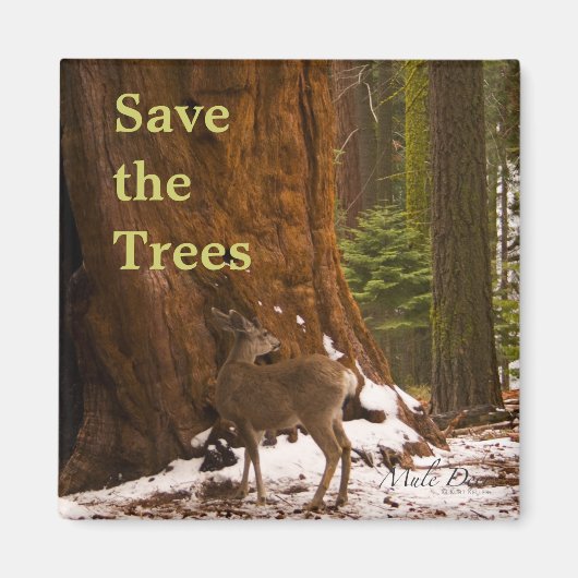 Sequoia Save the Trees Magnet (Voorkant)